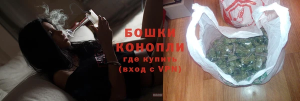 прущие грибы Болохово